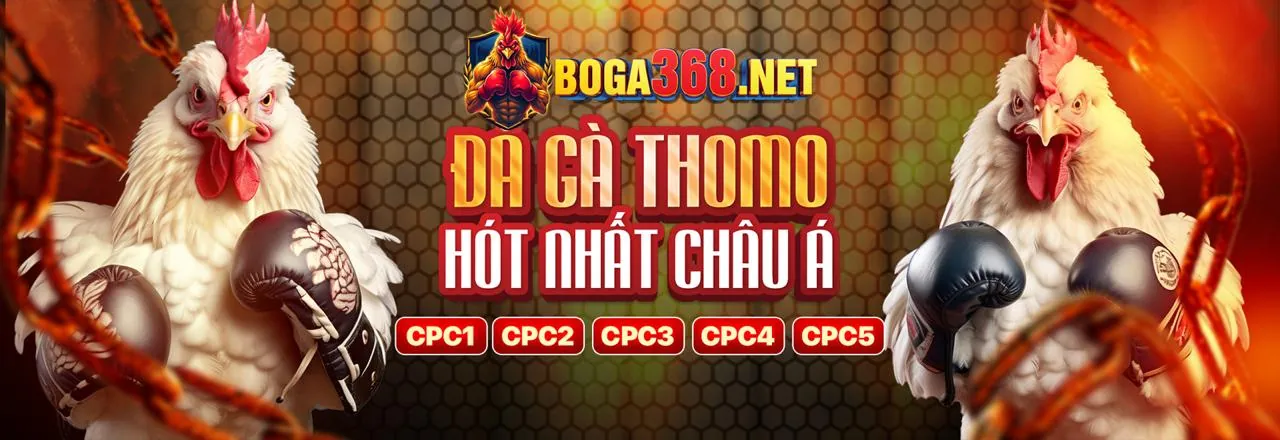 Hình ảnh chính SX88 chính thức