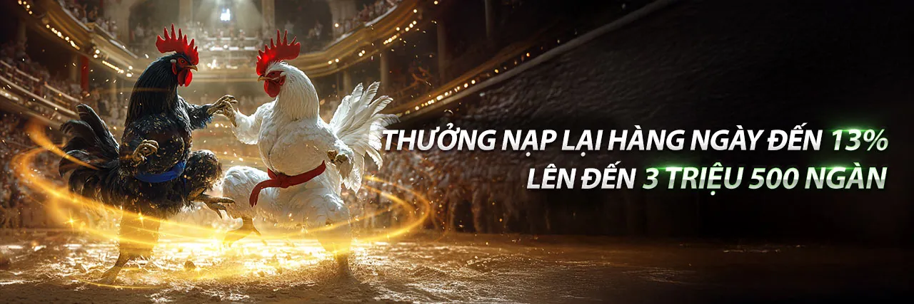 Đá Gà Trực Tuyến SX88 Chính Thức
